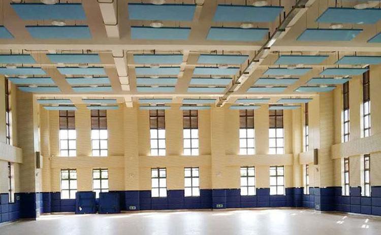 廣東揭陽學(xué)校體育館墻面木質(zhì)吸音板聲學(xué)工程